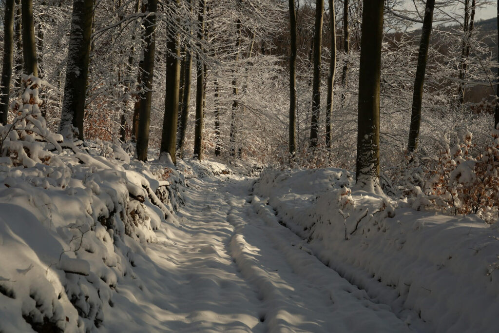 10 mesés téli kirándulóhely, amibe azonnal beleszeretsz