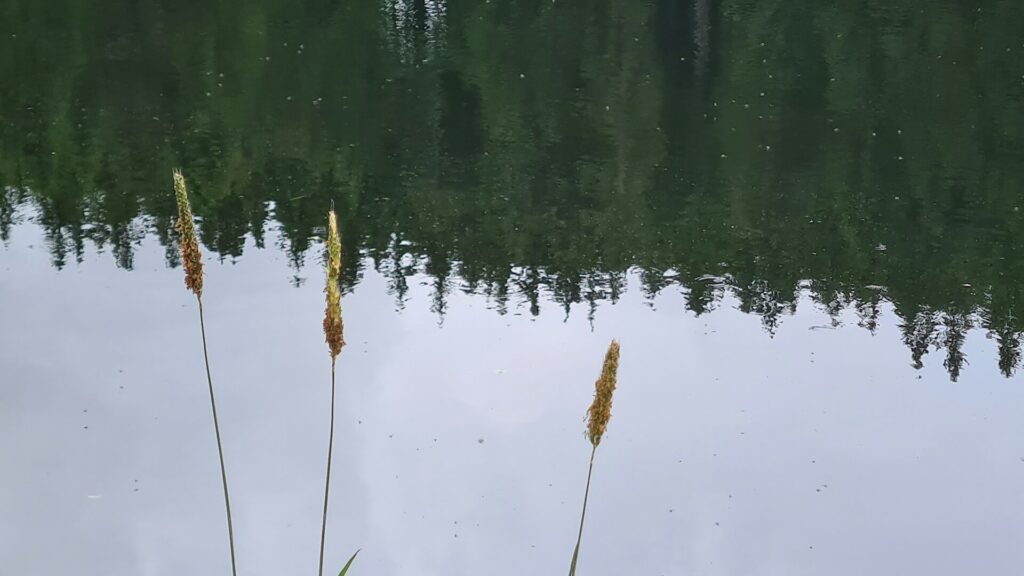 Ezeket a titkos helyeket mindenképp látnod kell Budapesten