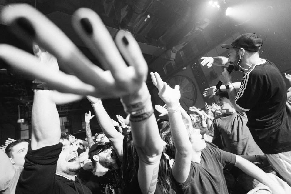 bongor berta csongor